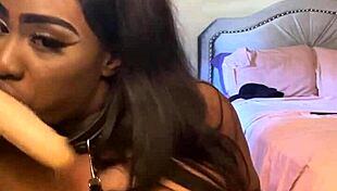 Lexo Butterfly performs submissive sucking and spitting blowjob