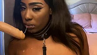 Lexo Butterfly performs submissive sucking and spitting blowjob