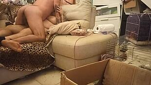 Creampie Those Giant Boobs Now!