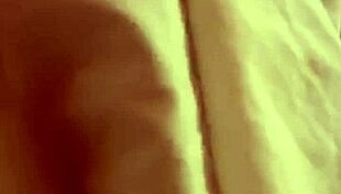 Couple engages in intense blowjob on Periscope