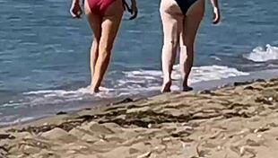 Beach Exhibitionism: Wife Gives Handjobs And Blowjobs To Strangers