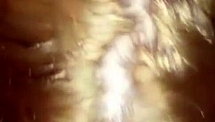 videos cortos pero sabrosos to enjoy anytime