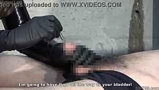 Japanese Mistress Kira Dominates with Faces