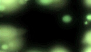 Grace Of The Labyrinth Town Part 7 Hentai Game.