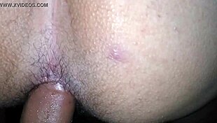 a shemale climbs and descends in hardcore pleasure, exploring every inch of ecstasy