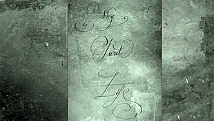 This vintage interracial blowjob is a classic retro find