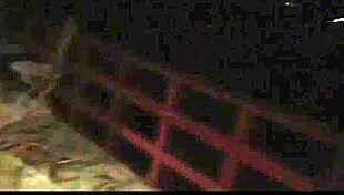 Ebony Ball Sucking Blowjob Outdoor With Voyeur Interracial Exhibitionists