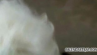 Calendar Trap Windows Media Video V11 February 11 2015 Test 0