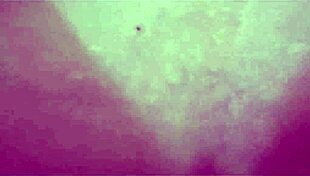 vivi guedez twerks deliciously during anal sex