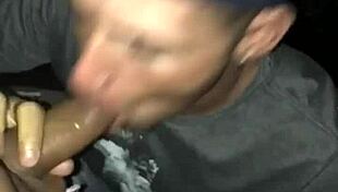 sucking in the bathroom of the party with cum