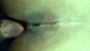 Latina's Quick Doggystyle Encounter Re-Uploaded