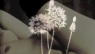 Vintage Dark Lantern: London Interracial Taboo with Hairy Action