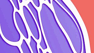 I am a wolf furry eating gay bird on the beach