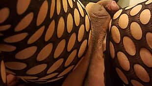 enjoying a special treat with toys for the playful performer