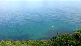 naked and shameless on the beaches of florianopolis brazil outdoors.