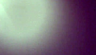 daniel and mandy fucking hard as amateurs 😈