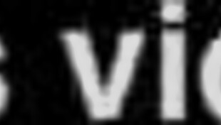 slim babe chloe temple craves huge cock blowjob pov cumshot