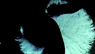 Explore Two Centuries Of Vintage Pornography Featuring Group Scenes And Hairy Beavers