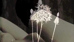 Vintage porn features old milfs fucking in threesomes with blowjobs.