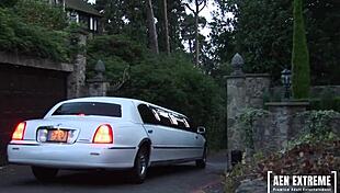 Newlyweds honeymoon goes terribly wrong cnc fantasy