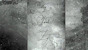 i feel the vintage bdsm ropes binding my hairy pussy in retro bondage