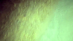 Fanny Casada Shows Off Without Panties In Public On The Street!