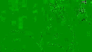 How do you manage to jerk that tiny little cock off with such struggle?