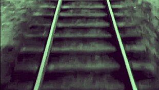 two centuries of vintage pornography collection