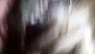 My Amazing Girl Sucking My Cock