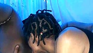 follow my new twitter account freethegoat 😊