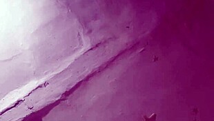 Big Tits Slut Wife Milf Pussy Ass