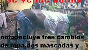 i'm a trans lady doing my solo travesuras