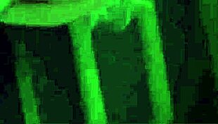 Rough Doggy Style Bondage Makes Teen 18+ Squirt In Hd BDSM Scene!