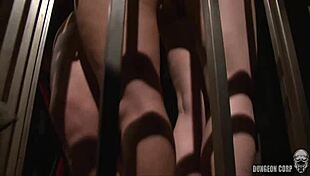 watch this bound babe get a nice whipping in bdsm session 😈