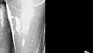 Our New Muse Andressa Castro Achieves Glamorous Orgasm