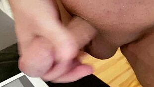 Tribut für elpapi219