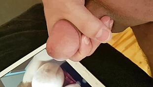 Tribut für elpapi219