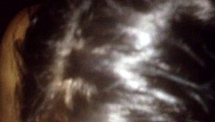 Watch this Latina suck that big cock before anal assfucking?