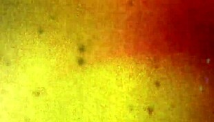 I Think This Black Tgirl Is Such A Doll