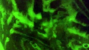 Mzkiwi Tries Anal First Time in Shower 😱