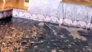 Intriguing orgy party in porn mansion