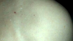 Feeling the pleasure of sitting on the eater's dick