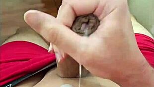 Want To Suck My Penis, Cute Twink Asks