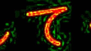 ntr lesbians playing with toys