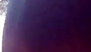 bbw tranny feels excited sucking black ass