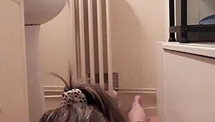 esclave f autos�ance de soumission en mode truie