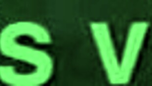 the new ebony bbw bitch gets cum