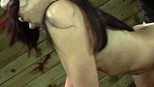 Связанная суб Ава Келли слюнявит большой хуй