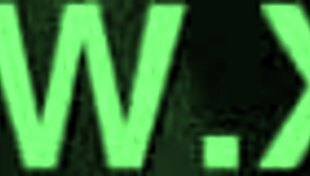 the new ebony bbw bitch gets cum