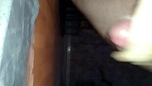 Голландская корова доит сперму в сыром действии